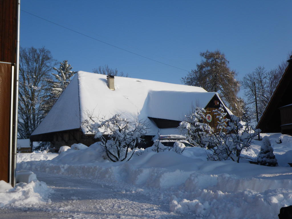 Buehl 3 Villa Affoltern Am Albis Exterior photo