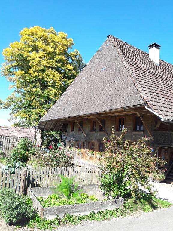 Buehl 3 Villa Affoltern Am Albis Exterior photo